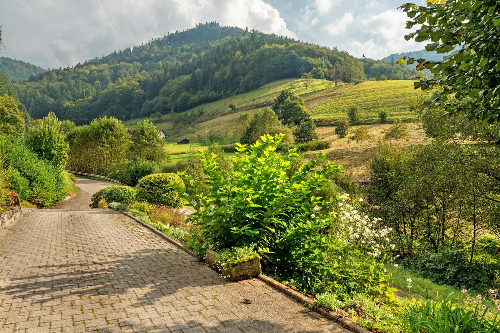 Апартаменти Haus Schindler Оттенгефен-ім-Шварцвальд Екстер'єр фото